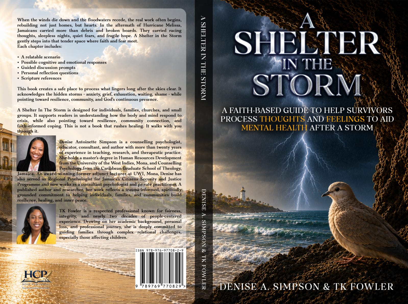 A Shelter in the Storm — full book cover
